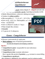 Family: Campylobacteriaceae Genus: Campylobacter: S - Shaped