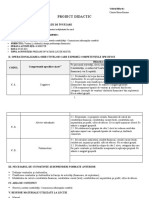 Proiect Didactic 2