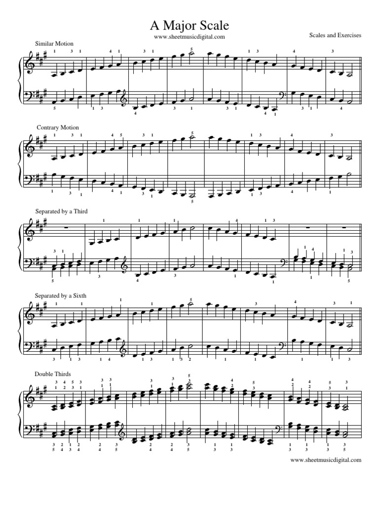 A Major Scale: Scales and Exercises Similar Motion | PDF | Music Theory ...