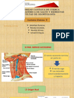 Anatomía Par Craneal