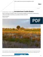 Humedales - Una Respuesta Natural Ante El Cambio Climático - Blog Alternativas - EL PAÍS