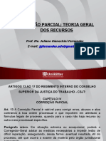 TEORIA GERAL DOS RECURSOS NO PROCESSO DO TRABALHO