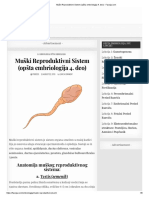 Muški Reproduktivni Sistem (Opšta Embriologija 4. Deo)