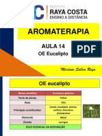 AULA 14 OE EUCALIPTO