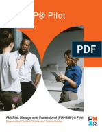 PMI Risk Management Professional (PMI-RMP) ® Pilot