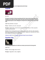 Download Jenis Kucing by atokyuniarto SN54948687 doc pdf