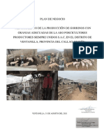 Formato Nro10 Plan de Negocio Porcicultores Productores Siempre Unidos Sac 31-08-2021