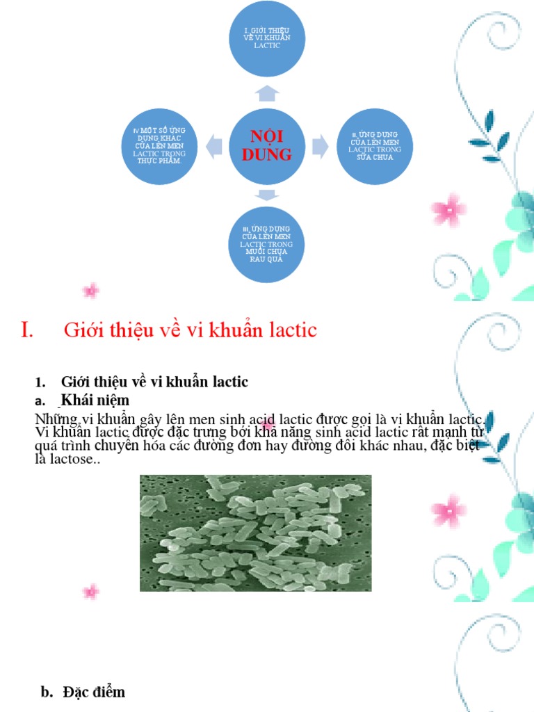 Lên Men Lactic Trong Thực Phẩm | PDF