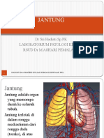 Jantung