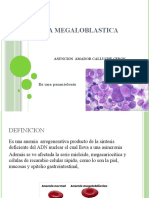 Anemia Megaloblastica PPT 2