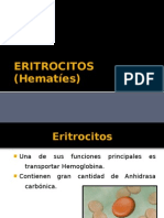 Eritrocitos