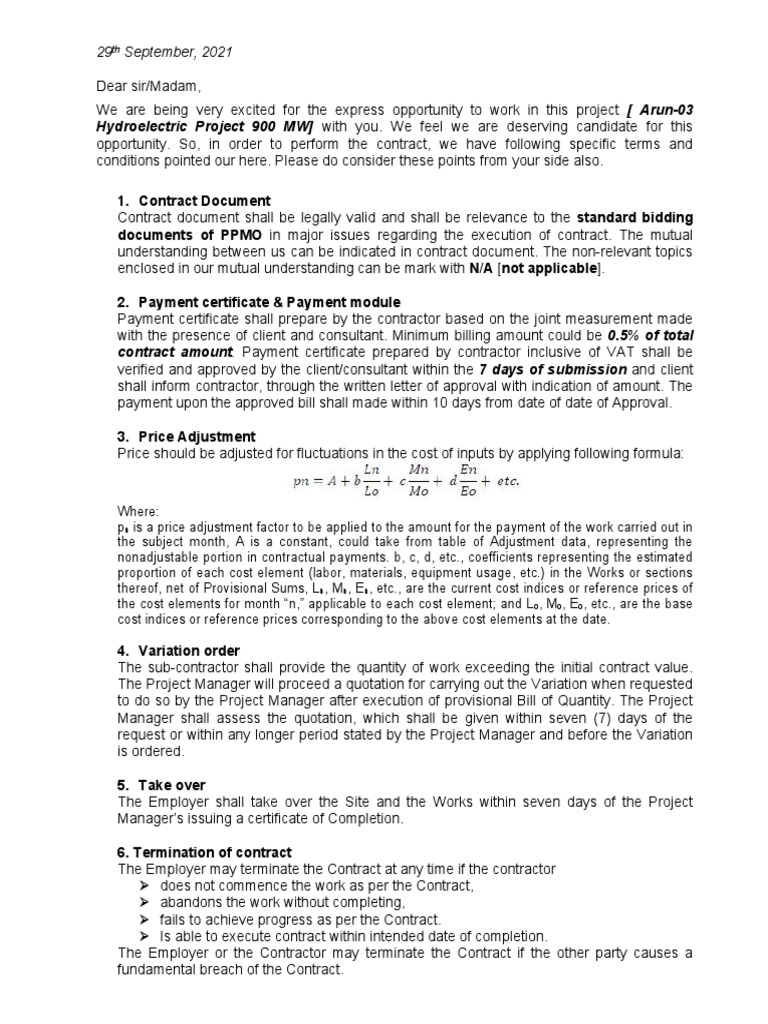 Work Terms and Conditions PDF Consultant Contractual Term