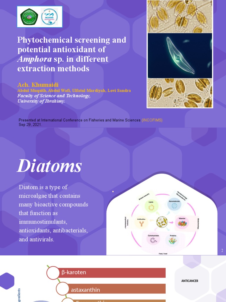 Phytochemical Screening and Potential Antioxidant of Extraction Methods