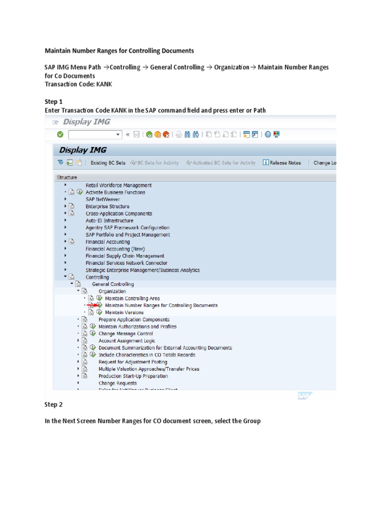Maintain Number Ranges For Controlling Documents | PDF