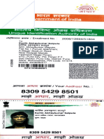 Government of India: Identification