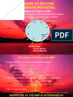 Genesis of Resting Membrane Potential
