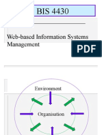 Web-Based Information Systems Management