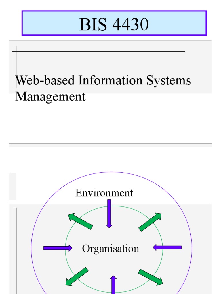 Web-Based Information Systems Overview | PDF | Innovation | Personal ...