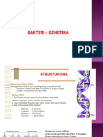 Bakteri-Genetika (A)