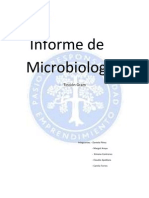 Informe de Microbiología