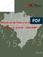 A física no Brasil em números