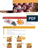 Onion: Crop Guide