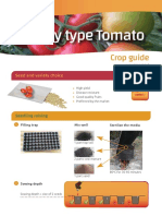 TomatoBushyType