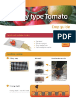 Bushy Type Tomato: Crop Guide