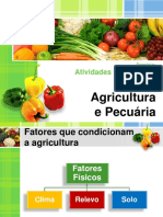 1.Fatores Que Condicionam a Agricultura
