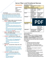 Neurons, Nerve Fibers and Peripheral Nerves FINAL