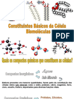 Biomoléculas 3