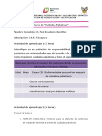 NES - Actividad Cuidados Paliativos