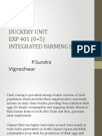 Duckery Unit EXP 401 (0+5) Integrated Farming System: P.Sundra Vigneshwar 2015001128