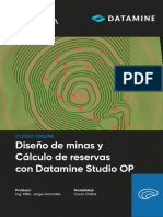 Diseno de Minas y Calculo de Reservas Con Datamine Studio OP