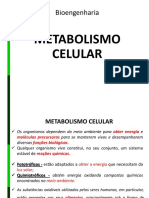 Aula 2 - Metabolismo Celular