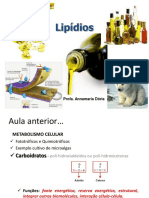 Aula 4 - Lipidios