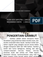 Genesis Lahan Gambut Di Indonesia