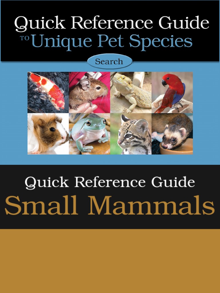 Quick Reference Guide To Unique Pet Species, PDF, Neutering