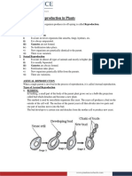 Chapter - 12 Reproduction in Plants