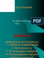 12 PPT - Munkajog-DrBSA