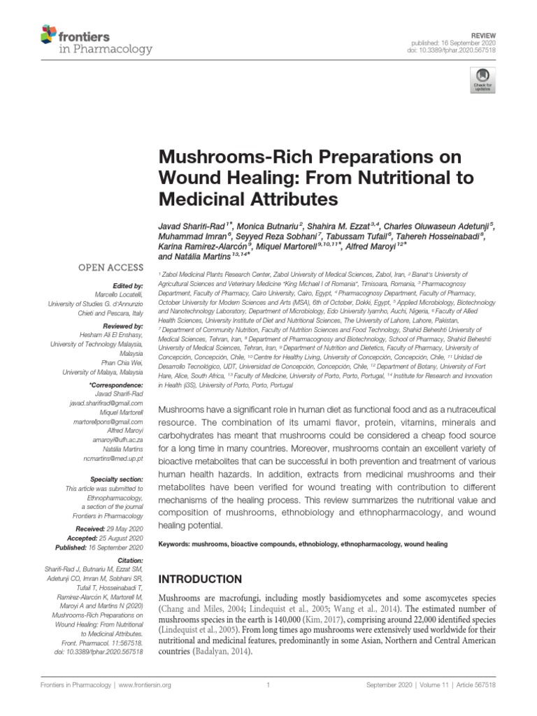 MushroomsRich Preparations On Wound Healing From Nutritional To