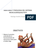 Anatomía y fisiología del sistema musculoesquelético: huesos, músculos y tipos de contracción