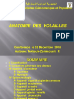 Anatomie Des Volailles