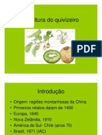 Cultura do quivizeiro: origem, cultivares e manejo
