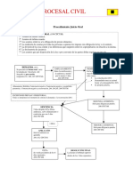 Esquema Juicio Oral