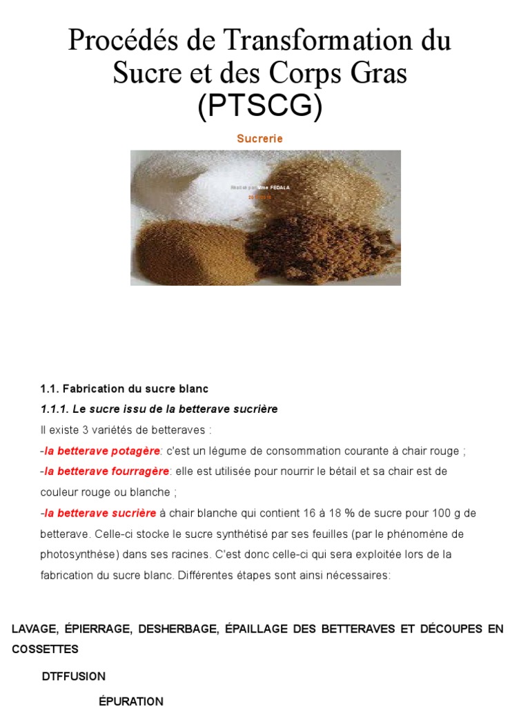Fabrication du Sucre Blanc et Raffinage | PDF | Sucre | Régime et nutrition