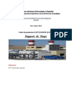 Rapport Du Stage 08-2019