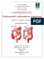 Monografía EII