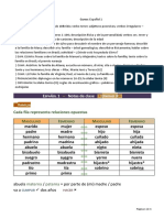 Español 1 - Notas de clase sobre la familia, descripción física y gramática