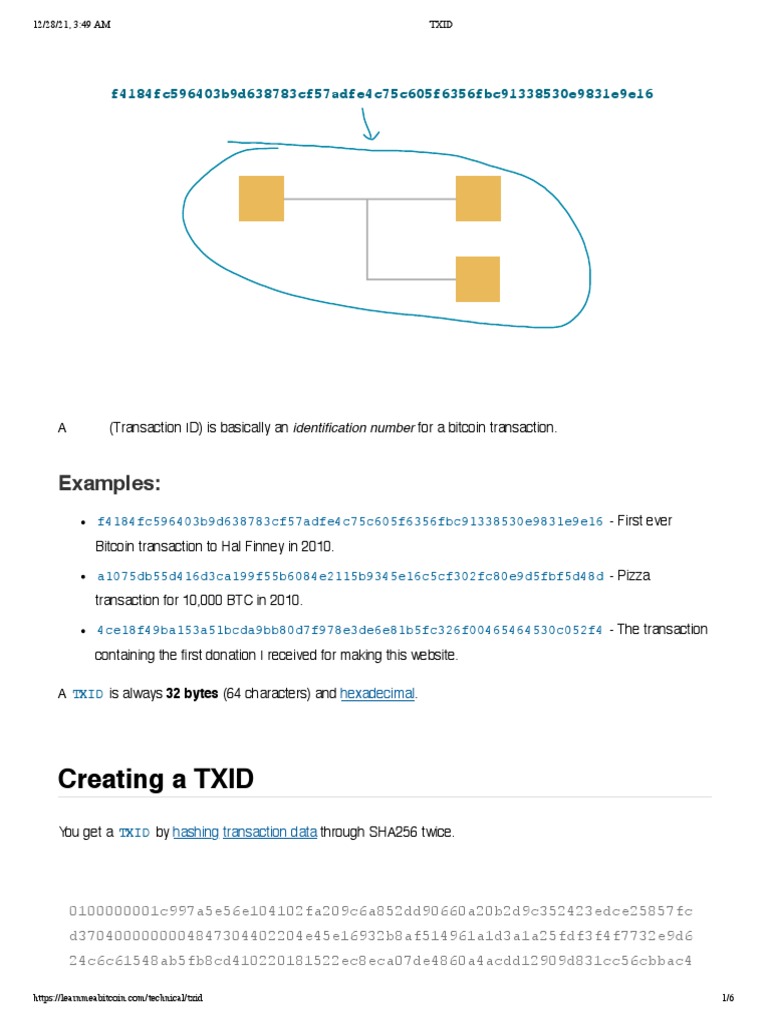 Understanding Bitcoin TXID Explained | PDF | Bitcoin | Computing